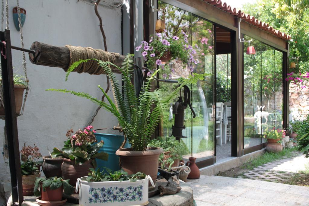 Istanbul Pension Айвалык Экстерьер фото
